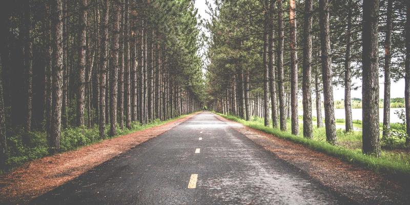 云健康：数字化时代下的健康管理新范式