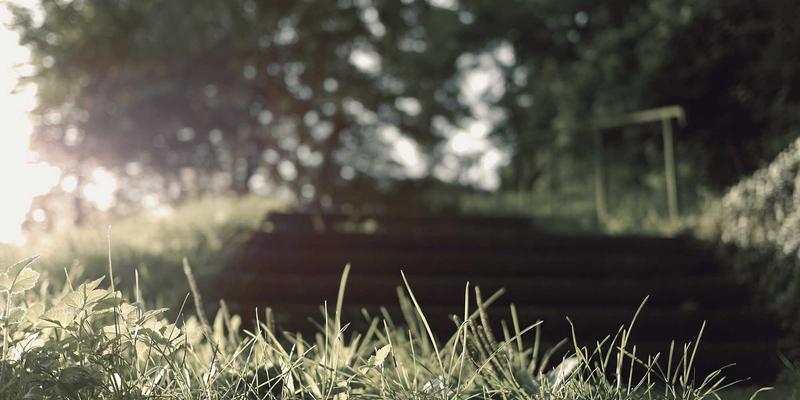 云健康时代：职场久坐人群的代谢健康管理实证方案——在线医疗与微运动干预