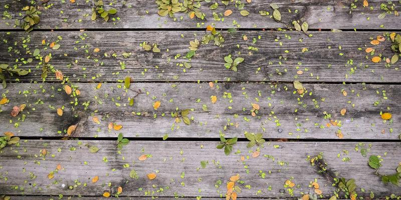 从在线医疗到整合服务：健康管理发展的新范式