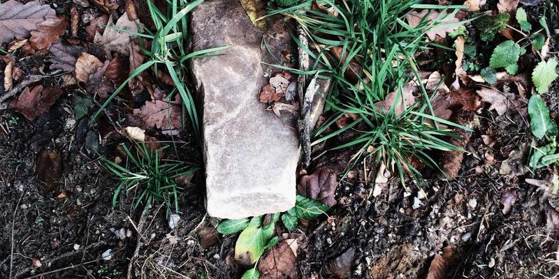 从数据到行动：基于体检报告的个性化健康管理方案，如何借助云健康与健康追踪实现精准干预