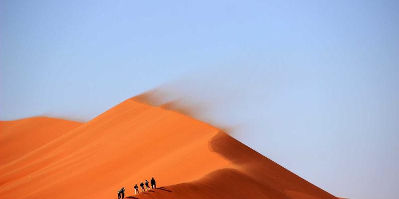 从顾问到数字健康伙伴：健康管理师在在线医疗时代的核心技能演变