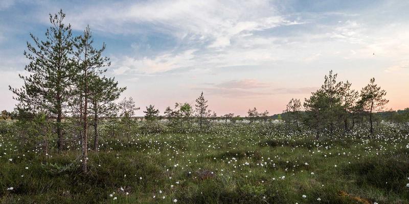 健康管理73：数字化时代的健康追踪与在线医疗融合新范式