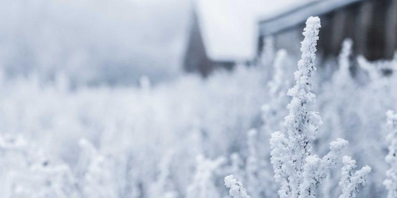 健康管理97:医疗资讯、健康追踪与云健康如何重塑现代健康生活