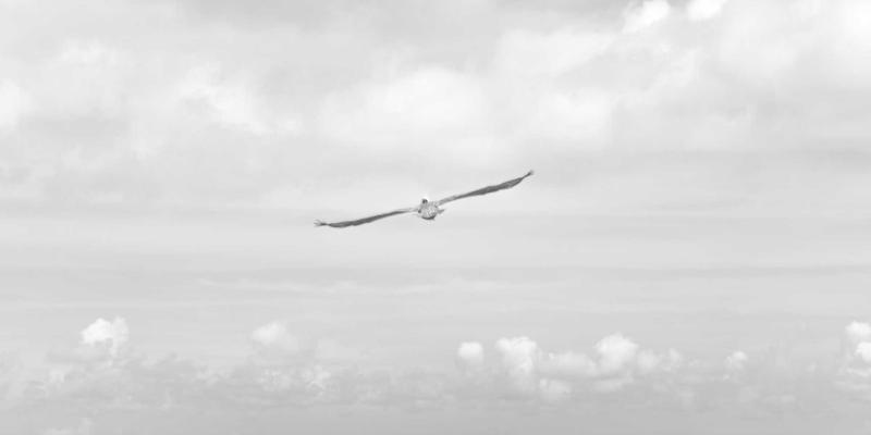 健康管理新纪元：善用追踪工具与医疗资讯，打造个人专属健康方案