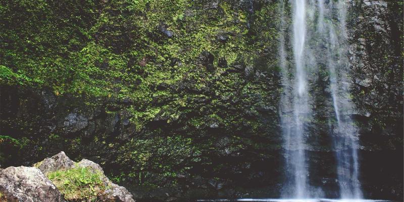 健康老龄化新蓝图：整合医疗服务与数字健康，打造银发族主动健康管理方案