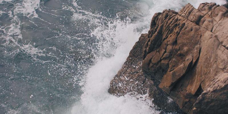 数字健康新纪元：可穿戴设备如何革新心血管疾病预警与管理