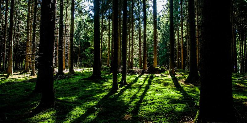 正念冥想：现代健康管理与医疗服务中不可或缺的压力调节技术