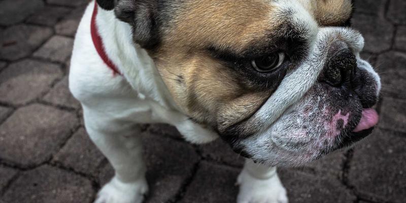 职场久坐健康危机：智能设备与微运动如何重塑你的办公健康 | 医疗资讯与在线医疗服务指南