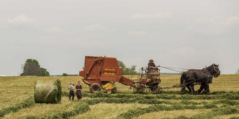 融合中医治未病智慧：现代数字健康管理平台如何通过健康追踪与云健康实现创新