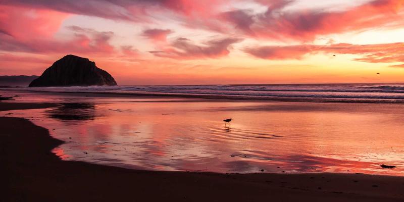 解码基因蓝图：基于基因检测的前瞻性健康管理行动路线图