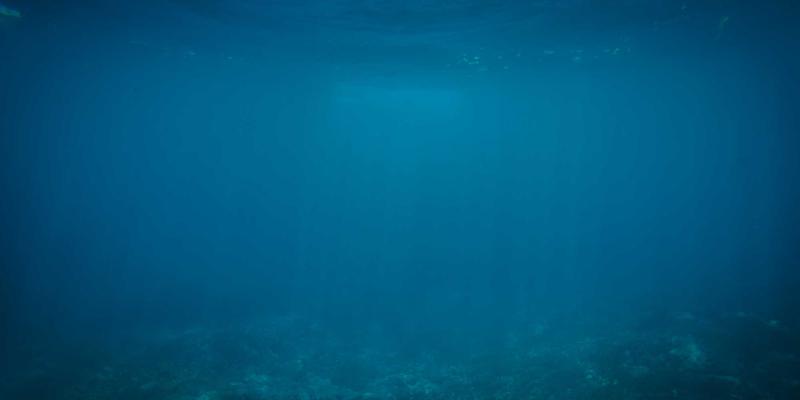 青少年健康管理新范式：运用云健康与医疗服务，平衡学业压力、屏幕时间与身心发展